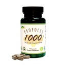 GREENBOWプロポリス1000mg NonGMO 有機プロポリス 60カプセルで作られた VEGANカプセル