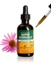 ハーブ Pharm は活動的な免疫システム サポート、2 つの Oz のための有機性極度の Echinacea の液体のエキスの低下を証明しました