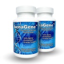 Benagene Oxaloacetateサプリメント - セルラーエネルギー、健康な代謝、およびボディレギュレーションをサポート - ビタミンCと熱的に安定 - 非GMO&ビーガン - 一度毎日(60の給餌)