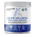 Omのきのこのマトリックス-Equineの  Wellbeingの 米国は人間の等級の有機のきのこの粉ショーの安全な馬の補足を育てます ウェルネス、回復およびシニア サポート  300グラム、10.5のoz