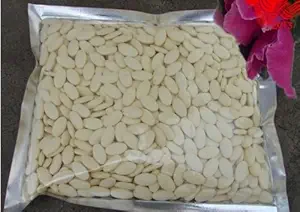 100%の純粋で&OrganicのRoyalゼリーによって凍結乾燥させる粉のタブレット100グラム10HAD >6.0%