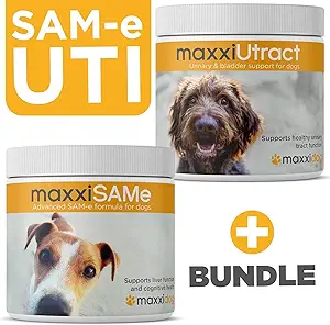 maxxipaws SAM-e UTIバンドル - 犬とmaxxiUtractカイン尿と膀胱サプリメントのためのmaxxiSAMeアドバンストSAM-eサポート