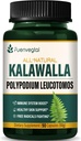 Kalawalla Root Capsules, Polypodium Leucotomos Extract Supplements Support Immune System, Skin Health, and Free Radicals Defense, Lasts 3 Months. 90 Count