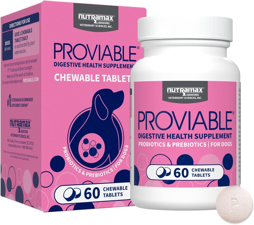 犬のためのNutramax Proviable Probiotics, 細菌の複数の緊張と毎日の消化の健康のサプリメント, 犬のプロバイオティクスプラスプレバイオティクス, 60 咀嚼可能なタブレット