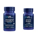 ライフエクステンションPycnogenolフランスのマリタイムパインバーク&Gotu Kola動脈の健康サプリメント - 60&30ベジタリアンカプセル
