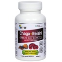 Sayan Siberian Chaga と有機 Reishi のきのこのエキスの補足 – 90 カプセル/440 mg 各 - ワイルド収穫、免疫系サポートのための抗酸化ブレンド + 天然エネルギーブースト、非GMO、グルテンフリー