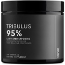 人のためのTribulus Terrestris - 95%のサポニンの超高い効力25:1のエキス- 1300mgの純粋で及び集中された方式-純度及び質のためにテストされる第三者の実験室- 240のカプセル