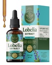 HERBAMAMA Lobelia Tincture - ビーガンLungデトックス&クレンジングのためのロベリアリーフエキス - 呼吸器Lungサポートドロップ - 非GMO、アルコール&砂糖フリー呼吸器サポートサプリメント