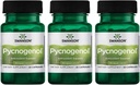 Swanson Pycnogenol 100ミリグラム30カプセル3パック