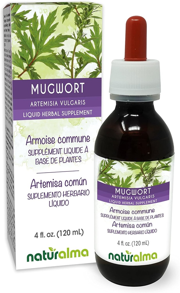 ナチュラルマ・モルグワート(Artemisia vulgaris)の花のハーブ アルコールフリーのチンキ - 4 fl oz 液体エキス ドロップ - ハーブサプリメント - ビーガン