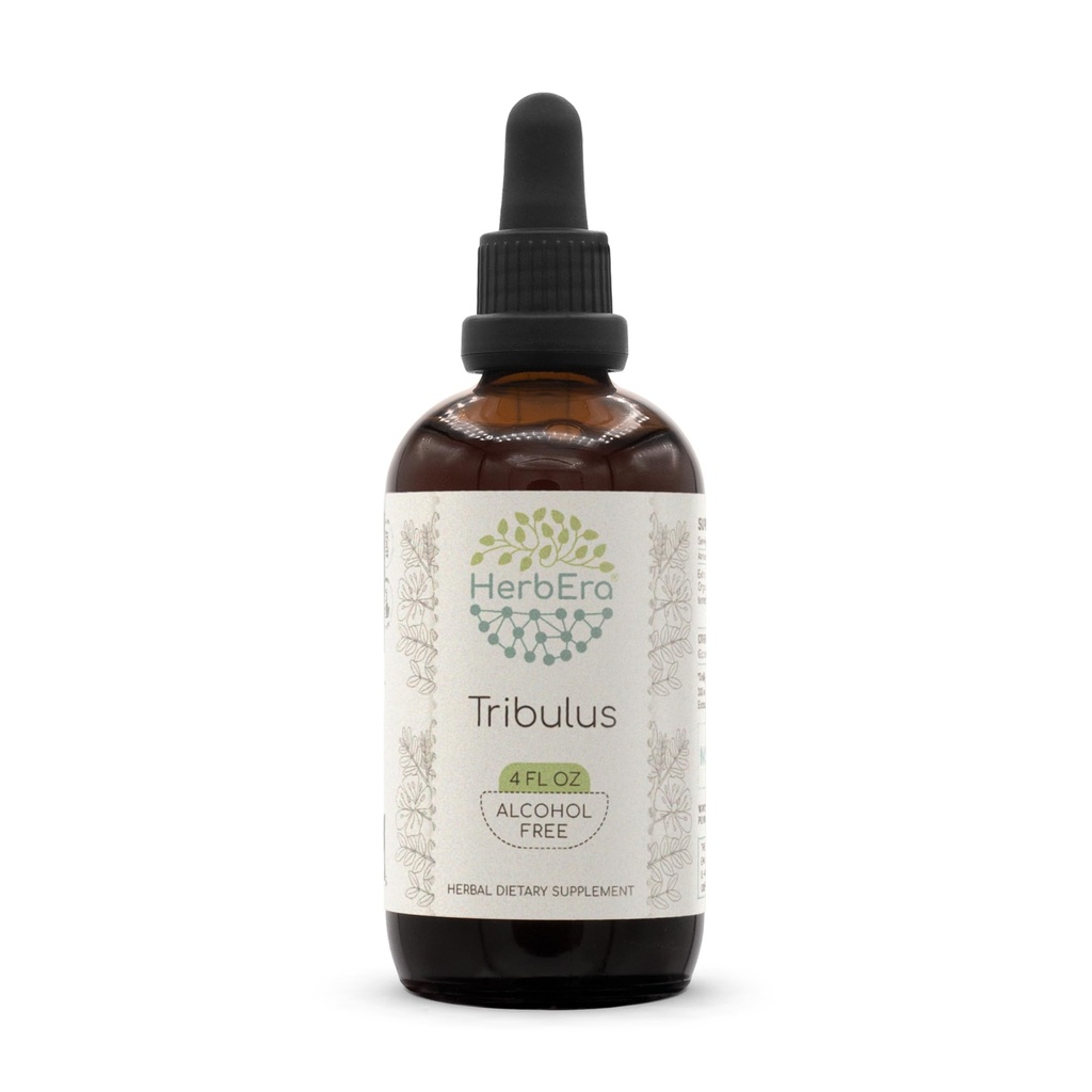 HerbEra Tribulus B120 アルコールフリーハーブエキスのチンキ、濃縮された液体の低下の自然なトリブラス(Tribulus Terrestris)乾燥されたフルーツ(4 の fl oz)
