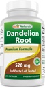 ベストナチュラルタンポポルート520mg 250カプセル