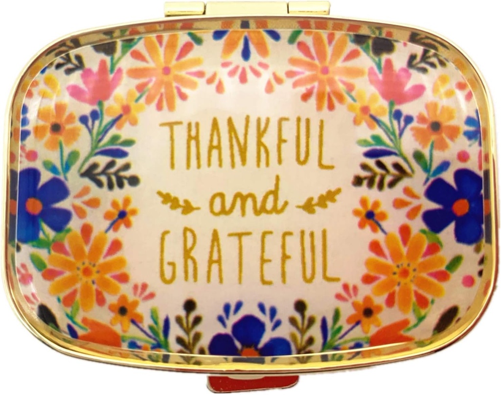 AmyZoneの金属の丸薬のオルガナイザーの旅行友好的な携帯用密集した丸薬箱2のコンパートメントの丸薬の箱はビタミン/Tylenol/Fishオイル/補足/財布/ポケットのためのMeds/Tabletを(感謝し、感謝します)握ります