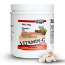 LandauのChewableのビタミンCキャンデー300 Mg。大きい試食の果実味- 500 CHW