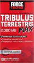 フォースファクターTribulus Terrestris男性、テストステロンブースター、男性バイタリティサプリメント、優れた吸収、2000mg、120カプセル