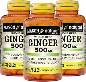 MASON NATURAL 全ハーブのジンジャー500のmgの6か月の供給、自然な草の補足、60のカプセル(3のパック)