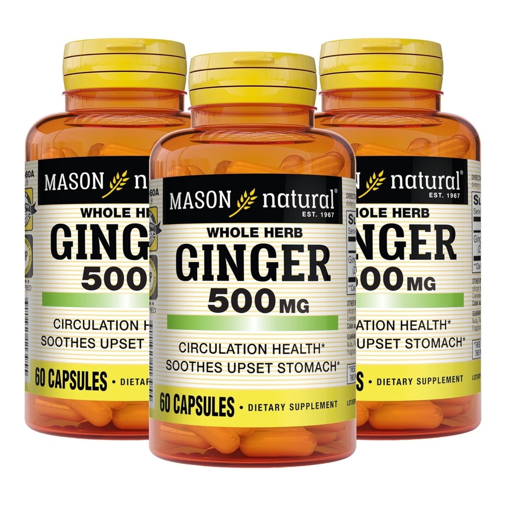 MASON NATURAL 全ハーブのジンジャー500のmgの6か月の供給、自然な草の補足、60のカプセル(3のパック)