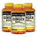 MASON NATURAL 全ハーブのジンジャー500のmgの6か月の供給、自然な草の補足、60のカプセル(3のパック)