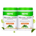 OZiva Pro Collagen Peptides, Skin & Hair, Type I & II, Caramel, 500g