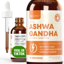 Rejuvica の健康の能動態の Ashwagandha - 高度の液体の補足-withania Somnifera のエキス- Ashwagandha の根だけ-自然にwithanolides を収容して下さい