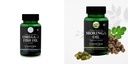 Fish Oil Moringa Seed Wellness Daily Vitality |60 CAPSULES