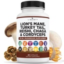 ライオンズ マネ キノコ サプリメント と トルコ テール Reishi Cordyceps chaga と マシュマロ ルート - 1-Pack