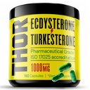 Turkesterone + Ecdysterone | アナボリックサプリメント (3 ヶ月 - 180 キャップ) オリンピックグレードのテスト - ISO 17025 認定 |1000mg - 98%-95% 純度 ラボシンセサイズ Cyclodextrin | Beta Ecdisterona