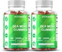 Vitamaticアイリッシュ海苔グミー - 3000 mg 食べ当たりの同等性(抽出132.5 mg) - 60 Ct - ブラッドダーラック&ブルドックルートで作られた - 2 パック