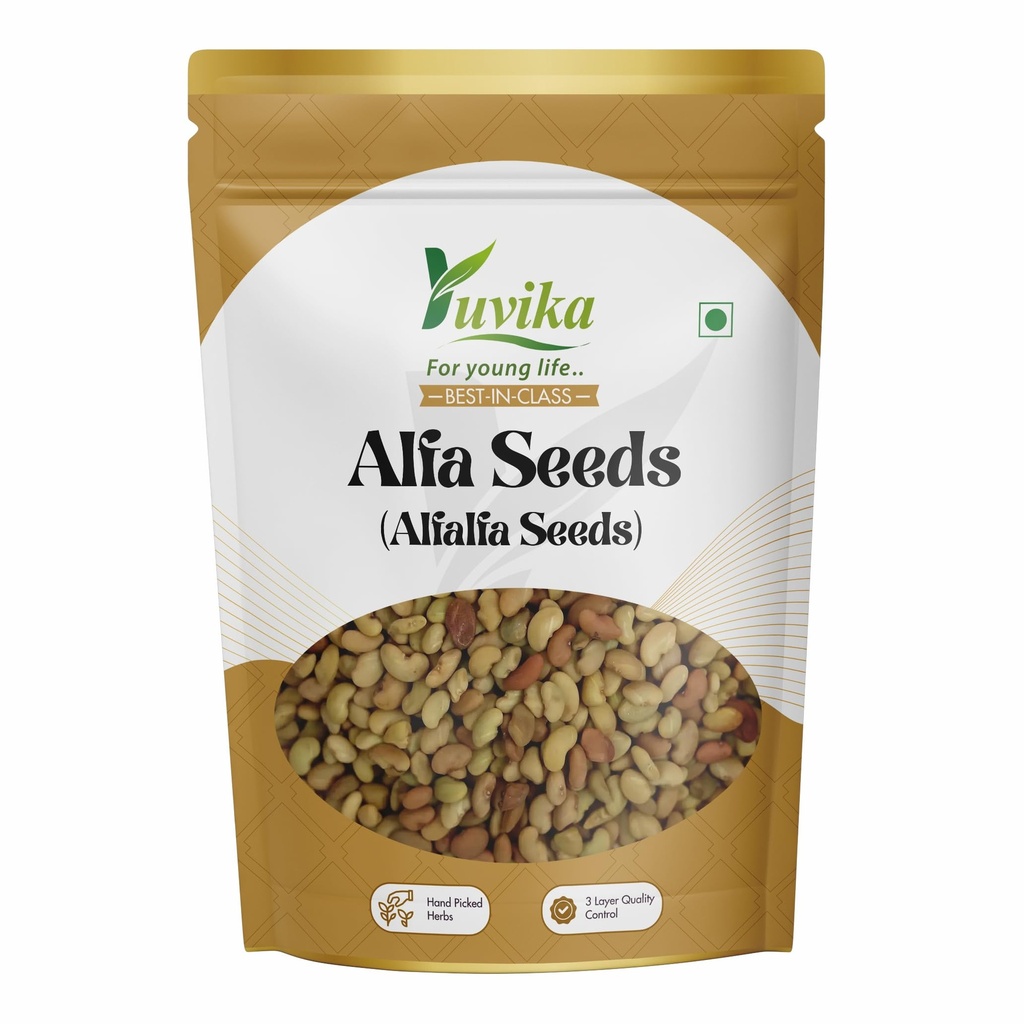 Yuvika Herbs Alfa Seeds 100g | Alfalfa | Medicago Sativa | Lucerne Grass | Herbal Seeds