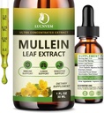 (2パック) 98%の肺のための吸収のMulleinの低下、1 Mulleinの葉の草のブレンドのエキス、Lungsの清潔及びDetoxおよび呼吸器肺の健康のための自然なLungsサポート補足
