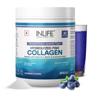 INLIFE Blueberry Wellnex Japanese Marine Fish Collagen Powder, 200g