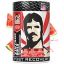 ヴィンテージビルド - 筋力と成長のためのワークアウトの回復と筋肉の建物のパウダードリンクを投稿 - 痛みを軽減 - クレアチンモノハイドレート、BCAA、Lグルタミン - ジューシーなスイカフレーバー - 388g