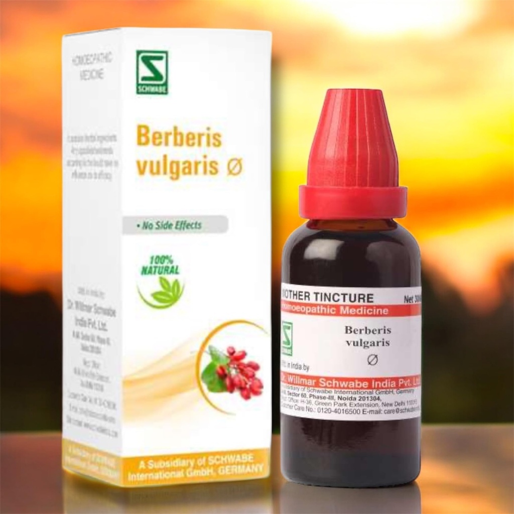 Dr Willmar Schwabe Berberis Vulgaris Mother Tincture Q 30 ml (PACK of 3 BOTTLES)