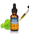 ハーブ Pharm 有機性向知性脳 & Ginkgo Biloba 液体抽出物と記憶サプリメント: メンタル フォーカス サポート、銀杏サプリメント、ビーガン、グルテンフリー、非GMO、1 Oz のための高速吸収