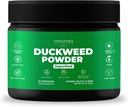 VINATURA Duckweedの粉-Duckweedの補足、Superfoodの消化器の健康、Wolffia Globosaの繊維のスーパーフードの粉