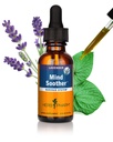 Herb PharmのNervousシステム サポートのためのカバが付いているAnxiety Sootherの液体の草の方式- 1のOunce