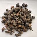 Nagarmotha/नागरमोथा-Sedge Root/Cyperus rotundus (250 Gms)