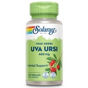 SOLARAY UVA ウルシリーフ 460 mg | ヘルシーブラーダー、腎臓および尿路機能サポート | 非GMO | 100ct (Take 3 Daily)
