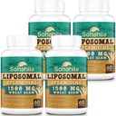 Spermidineの補足15のMG - 99%純度、高い吸収、1500のMGは亜鉛及びtheamin、人及び女性のためのSpermidineが付いている小麦のGermのエキスを発酵させました - 細胞の更新、老化の防衛、エネルギー、240のSoftgels