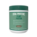 胎児タンパク質粉末 - 20g植物は、キッケパ - 1B CFU Probiotic for Gut Health、砂糖なし - チョコレート、16.5オンス