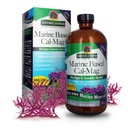 Nature's Answer Marine based Calcium, Vanilla Cream, 16-Ounce   ナチュラル免疫サポート | ヘルシーボンを維持 | 心の健康を促進 | 筋肉機能サポート