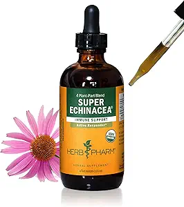 ハーブ Pharm は活動的な免疫システム サポートのための有機性極度の Echinacea の液体のエキス- 4 つの Oz を証明しました