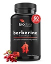 ベルベリンは1200mg Berberine - 100mgセイロンシナモンと100mgの緑茶のエキス - 線量ごとの1400mg - 120のカプセル- 60の日の供給-サポート免疫および心臓血管を増強します