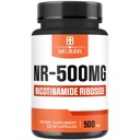 ナド+ ニコチンアミドリボシド500mg - 細胞エネルギーと修復、健康な老化、ウェルネス - 90カプセル - 3ヶ月の供給