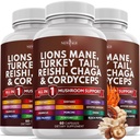 新しい AGE Lions マネ キノコ サプリメント とともに トルコ テール Reishi Cordyceps chaga と マシュマロ ルート 180 カウント