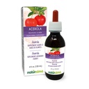 ナチュラルマ Acerola (Malpighia glabra) フルーツ アルコールフリー チンキ - ビタミンC - 4 fl oz 液体エキス - ハーブ サプリメント - ビーガン