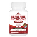 セイロンシナモン、ベルベリンコンプレックスと7-in-1 Berberine Phytosomeは、メタボリック、肝臓機能、免疫システム、非GMO、グルテンフリー - 60カプセルをサポート