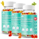 BIO VITALICA 海苔 グミーズ エルダーベリーバイオビタリカ - ビタミンC D +亜鉛 - アイルランドのシーモス ヴィーガン 免疫のためのゲル&パウダー、デトックス - 大人と子供(3パック)