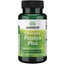 Swanson Chewable Papaya プラス 90 Chwbls 酵素