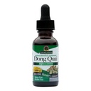 Nature's Answer Dong Quai Womens Support Supplement - 女性ホルモンサポート、女性ウェルネスサプリメント、液体エキス、アルコールフリー、グルテンフリー、コーシャ - 1 oz
